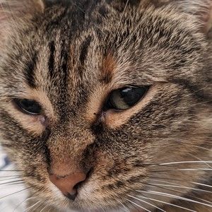 Meet your Posher, Jacob